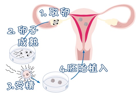 张明华 院长